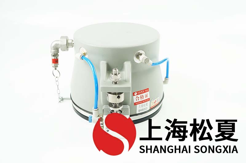 SWB200型晶圆键合设备安装樱桃视频污下载